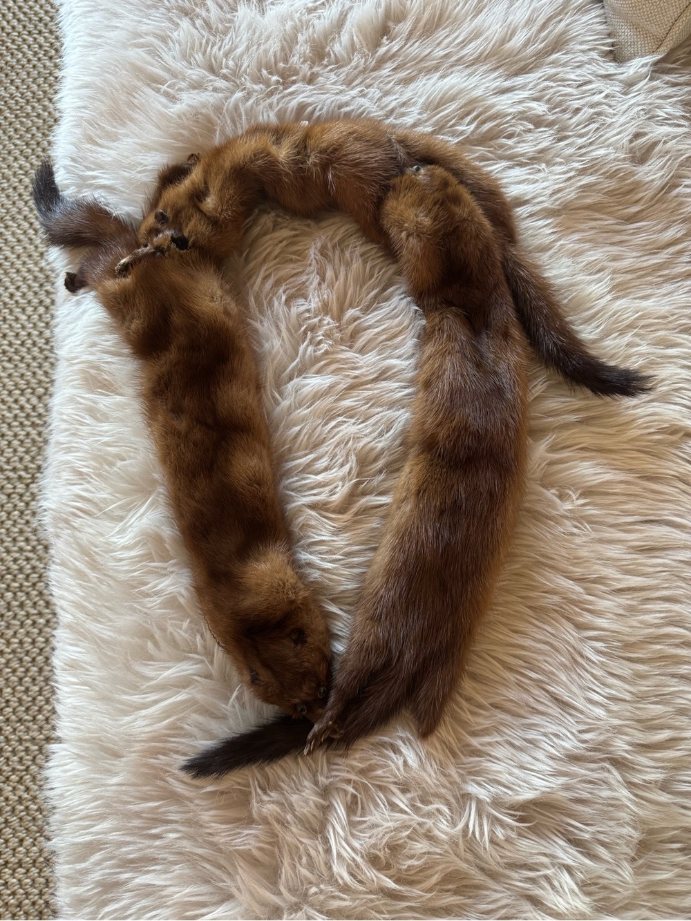 Vintage three mink stole